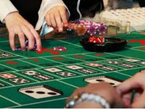 AG飞禽走兽多人版最新版